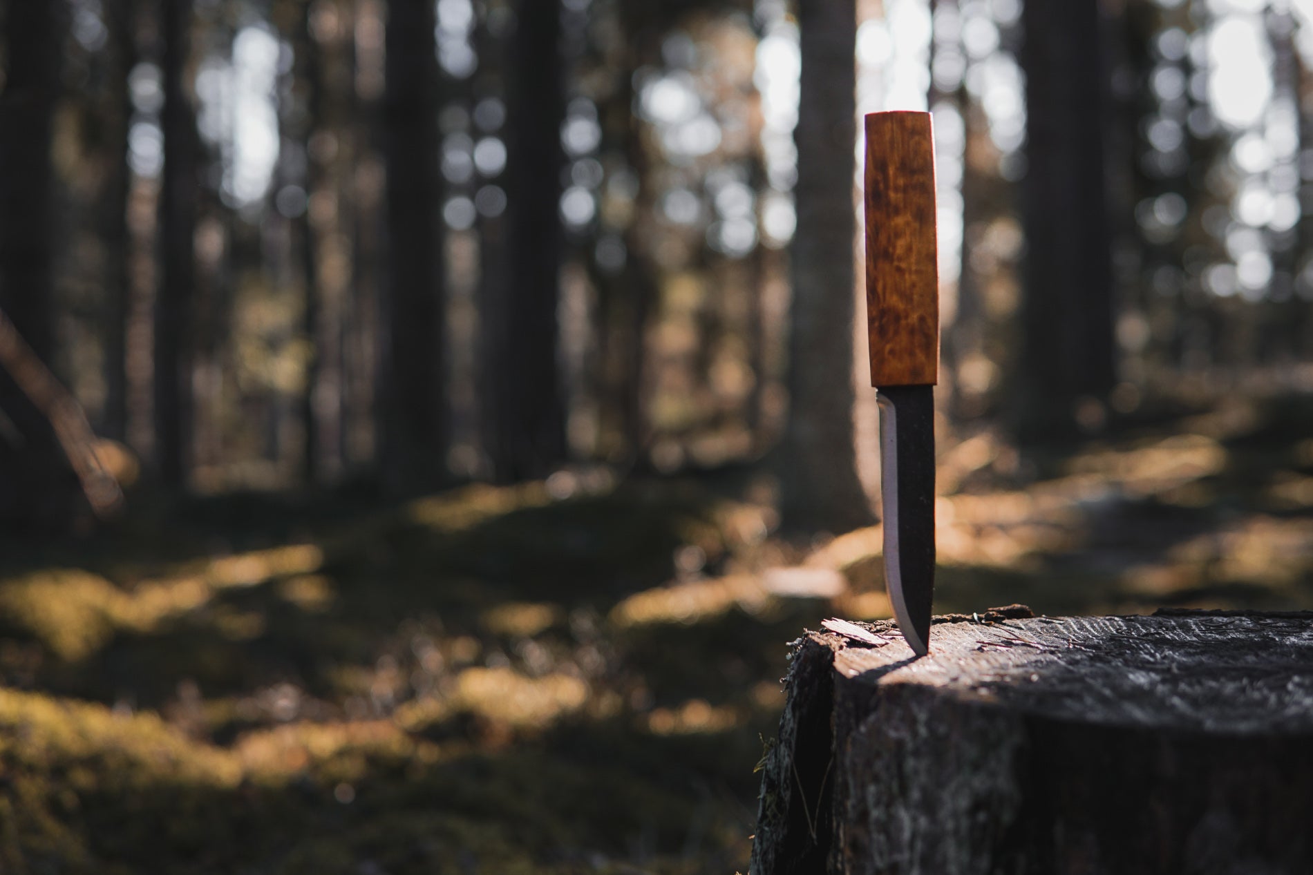 Helle H3LC steel