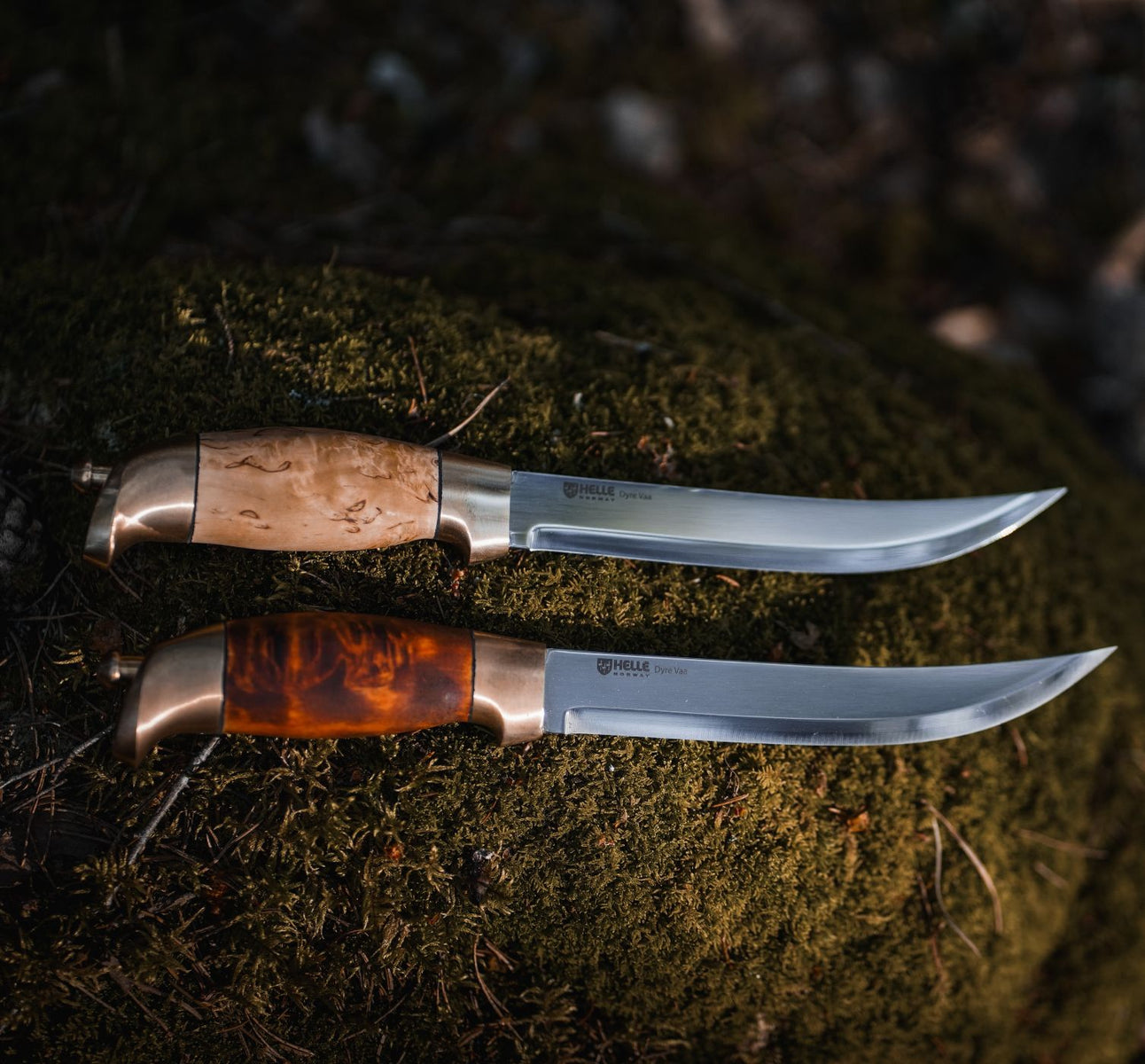 Helle Dyre Vaa the king's knife