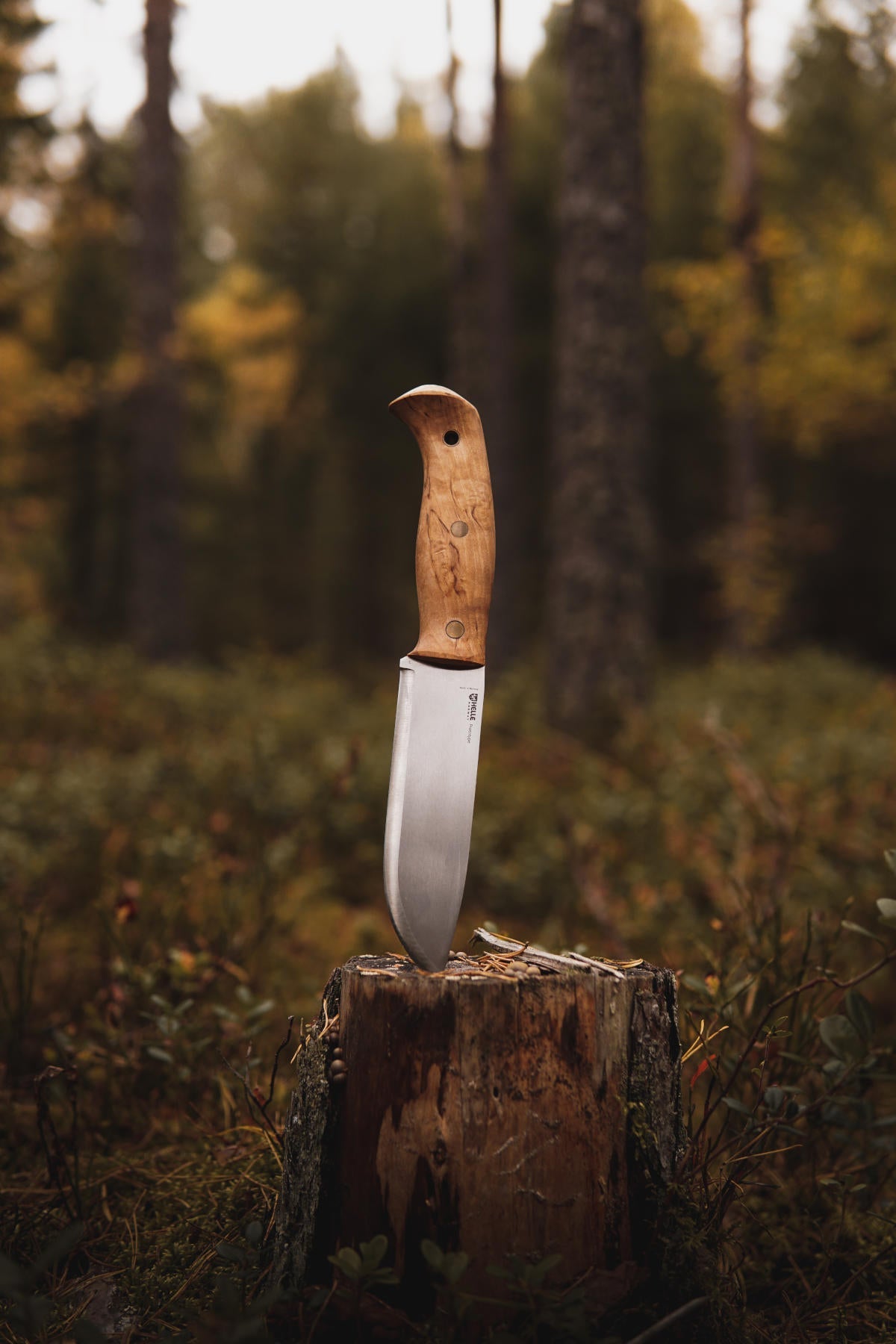 Helle Norway Harmoni Curly Birch & Walnut Fixed Blade Knife - Red Hill  Cutlery